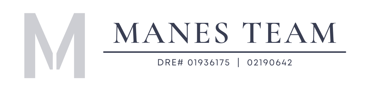 Manes Team License One