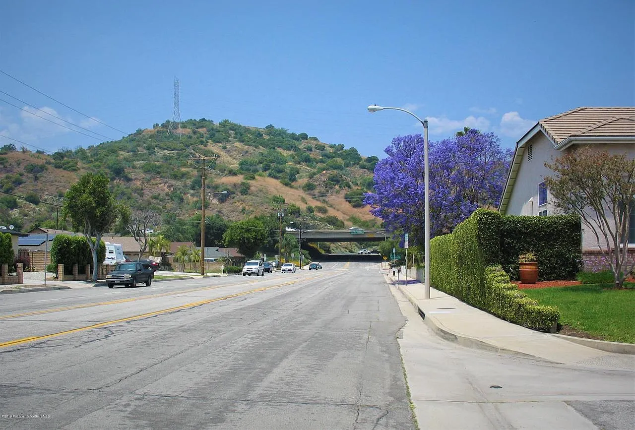 Suburban street with jacaranda trees, blue sky, and green hillside