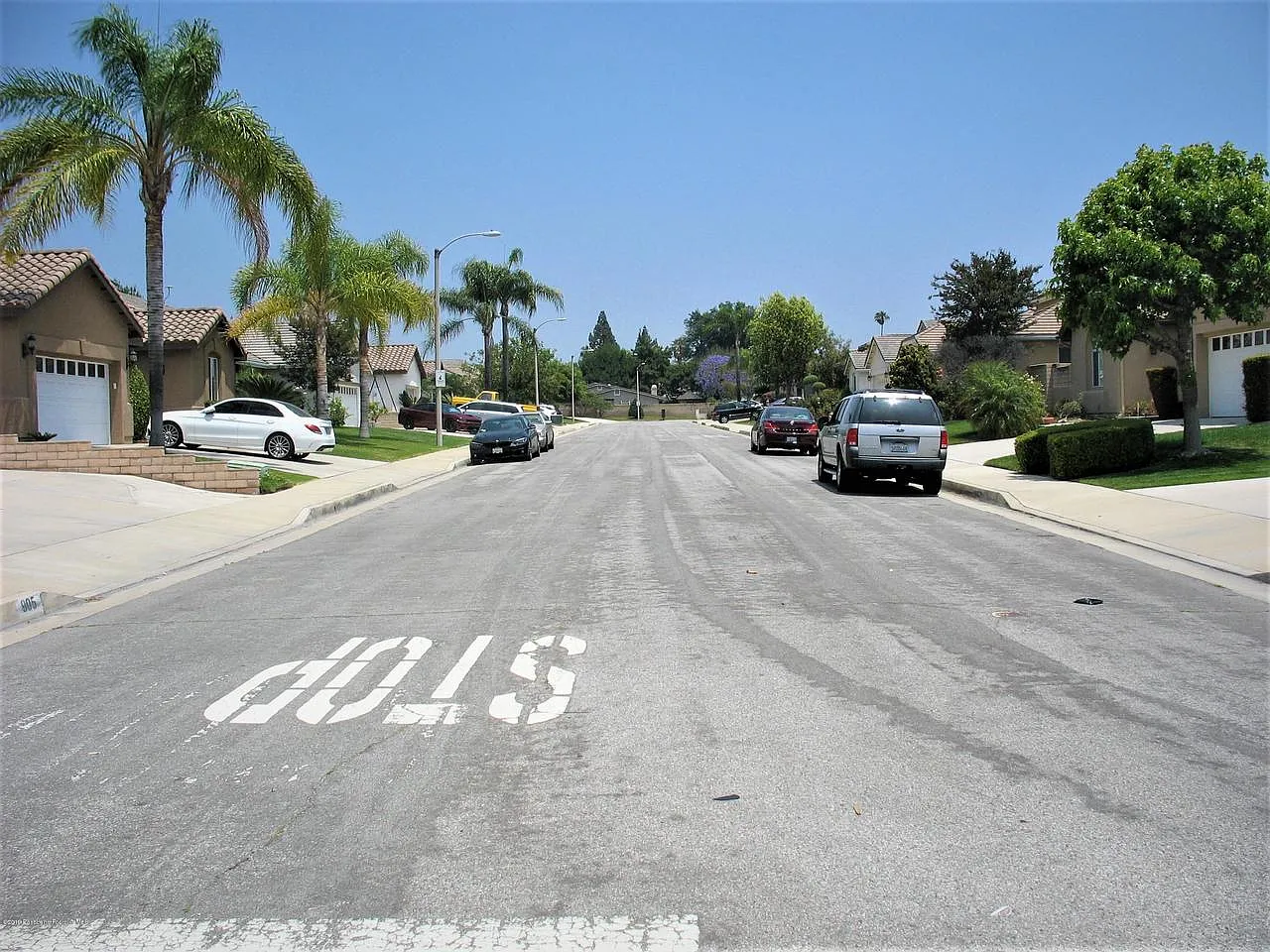 Quiet suburban street with palm trees, houses, parked cars, and STOP marking