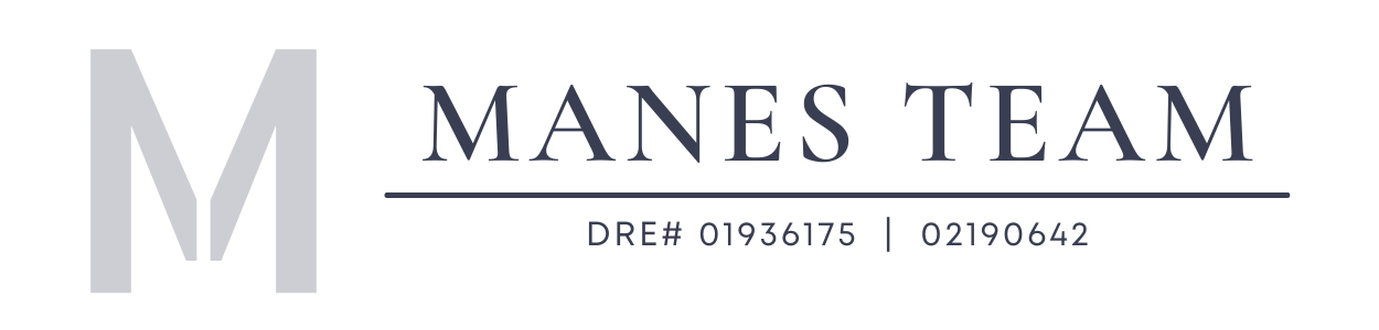 Manes Team License One