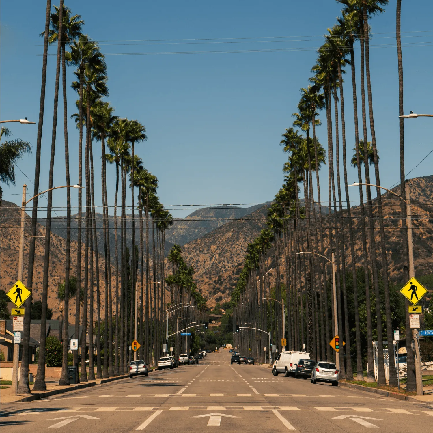 Palm-lined street leading to mountains under clear blue sky