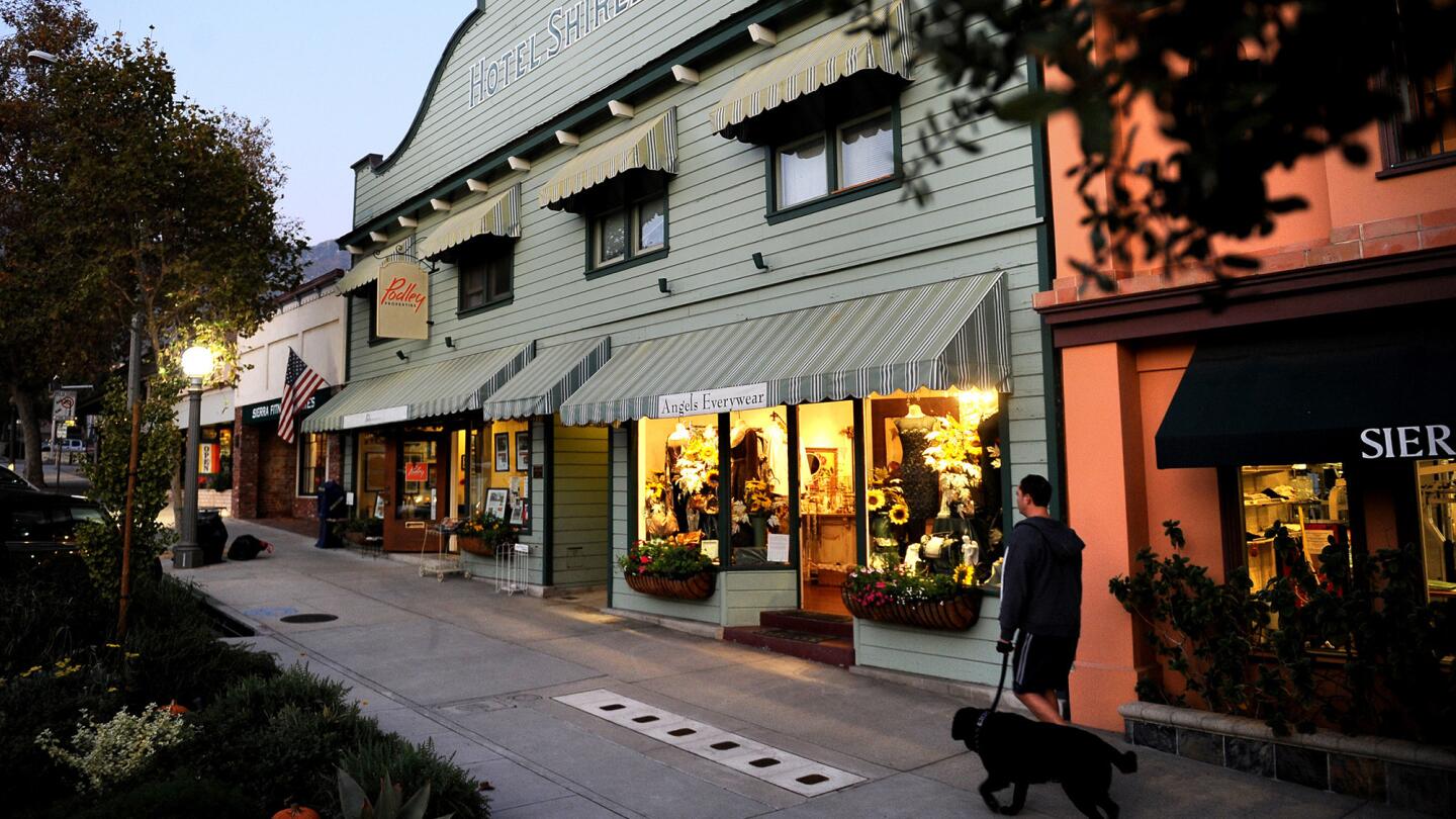 Quaint street with lit shops, awnings, and person walking a dog